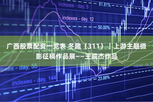 广西股票配资一览表 冬趣（311）｜上游主题摄影征稿作品展——王成杰作品